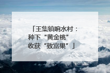 王集镇响水村：种下“黄金桃” 收获“致富果”