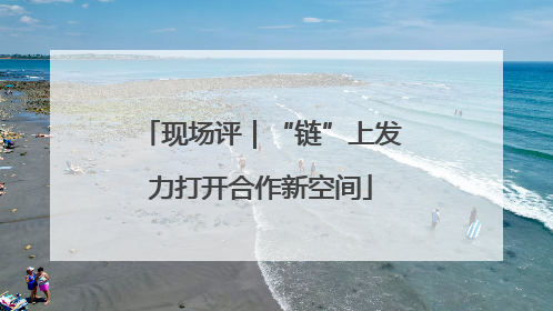 现场评｜“链”上发力打开合作新空间