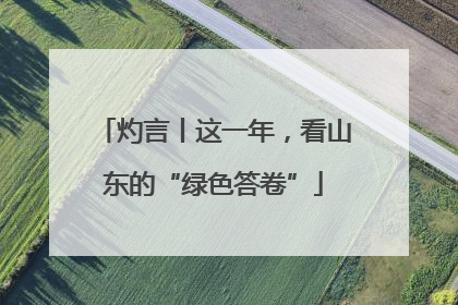 灼言丨这一年，看山东的“绿色答卷”