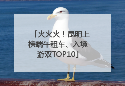 火火火！昆明上榜端午租车、入境游双TOP10