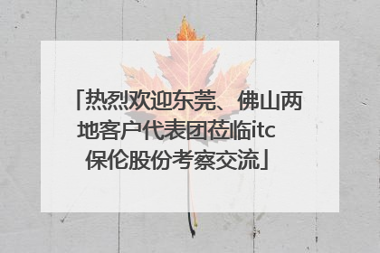 热烈欢迎东莞、佛山两地客户代表团莅临itc保伦股份考察交流