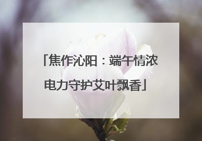 焦作沁阳：端午情浓 电力守护艾叶飘香