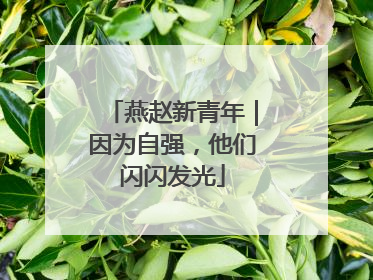 燕赵新青年｜因为自强，他们闪闪发光