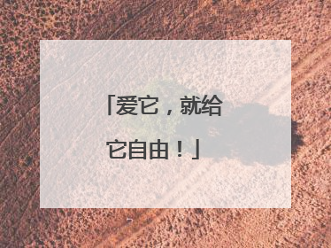爱它，就给它自由！