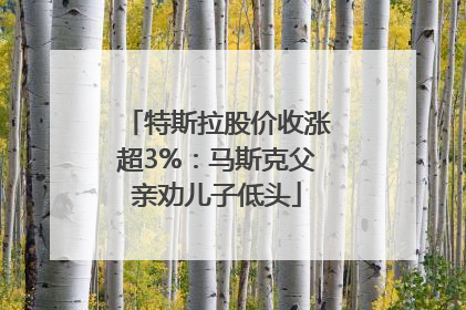 特斯拉股价收涨超3%：马斯克父亲劝儿子低头