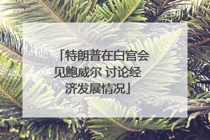特朗普在白宫会见鲍威尔 讨论经济发展情况