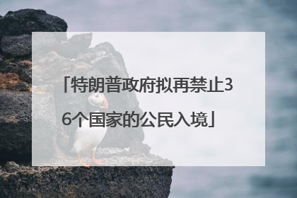 特朗普政府拟再禁止36个国家的公民入境