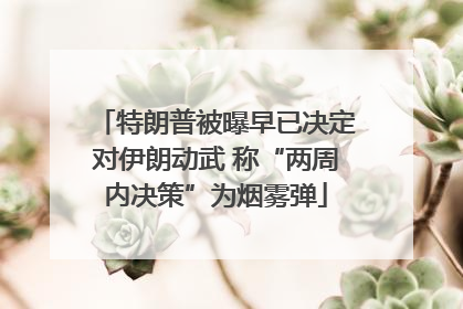 特朗普被曝早已决定对伊朗动武 称“两周内决策”为烟雾弹