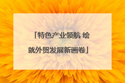 特色产业领航 绘就外贸发展新画卷