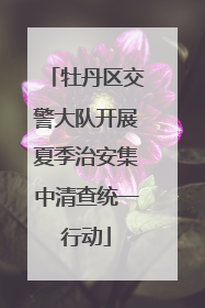 牡丹区交警大队开展夏季治安集中清查统一行动