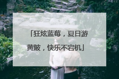 狂炫蓝莓，夏日游黄陂，快乐不宕机
