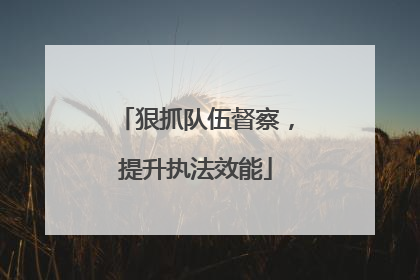 狠抓队伍督察，提升执法效能