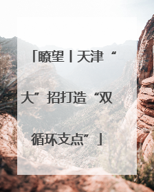 瞭望丨天津“大”招打造“双循环支点”