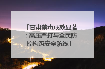 甘肃禁毒成效显著：高压严打与全民防控构筑安全防线