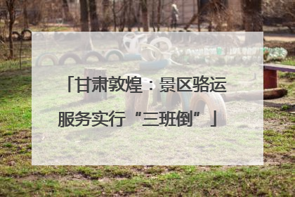 甘肃敦煌：景区骆运服务实行“三班倒”