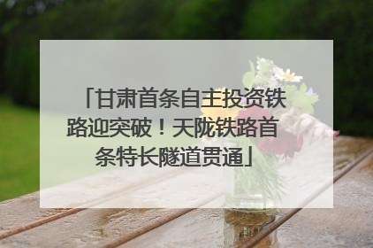 甘肃首条自主投资铁路迎突破！天陇铁路首条特长隧道贯通