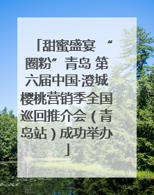 甜蜜盛宴 “圈粉”青岛 第六届中国·澄城樱桃营销季全国巡回推介会（青岛站）成功举办