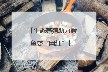 生态养殖助力鳜鱼变“网红”