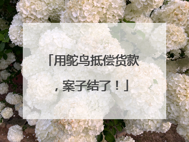 用鸵鸟抵偿货款，案子结了！