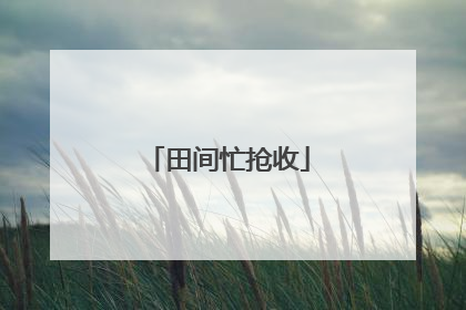 田间忙抢收