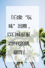 白象“玩味”出圈，以口味征服Z世代的挑剔胃