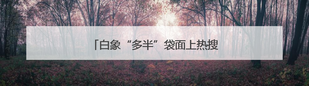 白象“多半”袋面上热搜！商标文字游戏何时休？