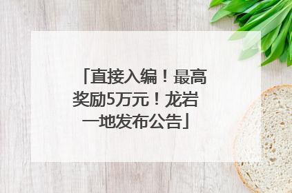 直接入编！最高奖励5万元！龙岩一地发布公告