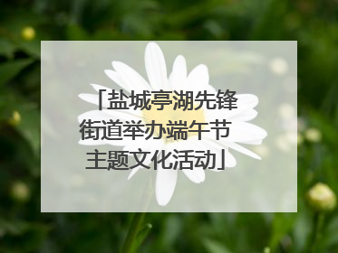 盐城亭湖先锋街道举办端午节主题文化活动