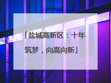 盐城高新区：十年筑梦，向高向新