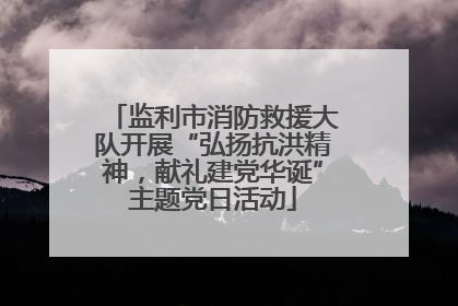 监利市消防救援大队开展“弘扬抗洪精神，献礼建党华诞”主题党日活动