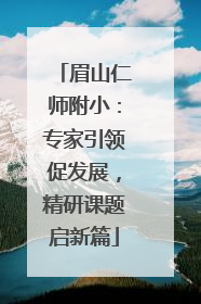 眉山仁师附小：专家引领促发展，精研课题启新篇