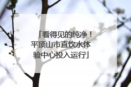 看得见的纯净！平顶山市直饮水体验中心投入运行