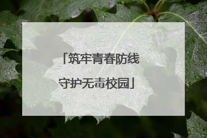 筑牢青春防线 守护无毒校园