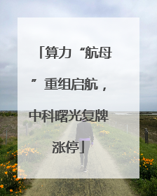 算力“航母”重组启航，中科曙光复牌涨停