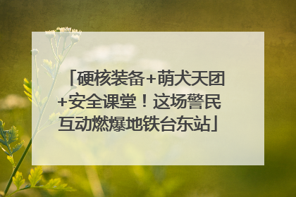 硬核装备+萌犬天团+安全课堂！这场警民互动燃爆地铁台东站