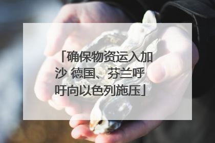 确保物资运入加沙 德国、芬兰呼吁向以色列施压