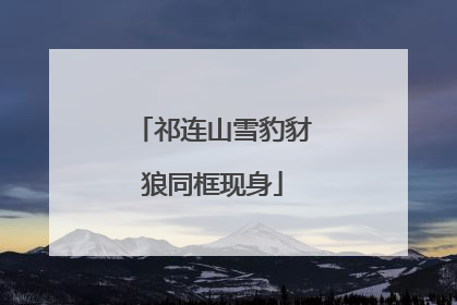 祁连山雪豹豺狼同框现身