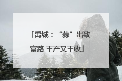 禹城：“蒜”出致富路 丰产又丰收