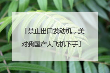 禁止出口发动机，美对我国产大飞机下手