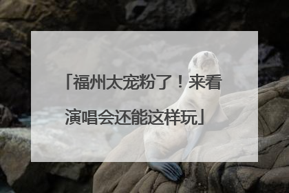 福州太宠粉了！来看演唱会还能这样玩