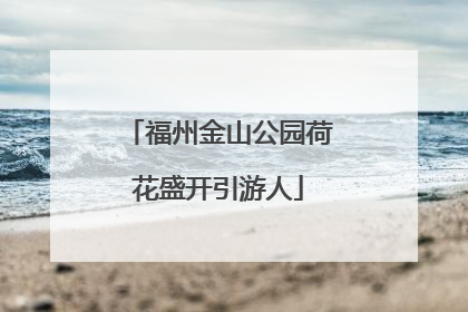 福州金山公园荷花盛开引游人