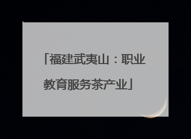 福建武夷山：职业教育服务茶产业
