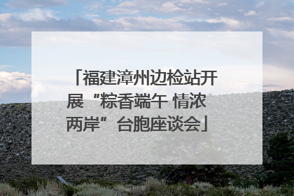 福建漳州边检站开展“粽香端午 情浓两岸”台胞座谈会