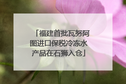 福建首批瓦努阿图进口保税冷冻水产品在石狮入仓