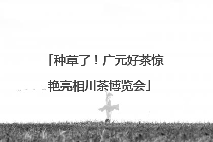 种草了！广元好茶惊艳亮相川茶博览会