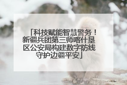 科技赋能智慧警务！新疆兵团第三师喀什垦区公安局构建数字防线守护边疆平安