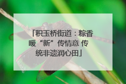 积玉桥街道：粽香暖“新”传情意 传统非遗润心田