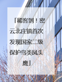 稀客到！密云北庄镇首次发现国家二级保护鸟类凤头鹰