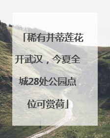 稀有并蒂莲花开武汉，今夏全城28处公园点位可赏荷