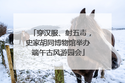 穿汉服、射五毒，史家胡同博物馆举办端午古风游园会